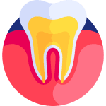 درمان ریشه کلینیک دندانپزشکی سبز